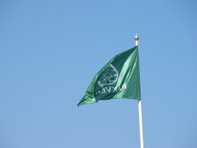 Lihakombinaadi lippu krgel hoides
Ehk rohelistele tpidele vime jtkuvalt seepi mtada. Elagu rakvere viinerid :P
Keywords: Rakvere Lihakombinaat, lipp, smboolika