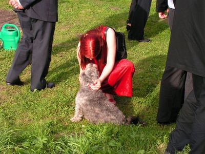 Oi kui nunnu :)
Koer leidis punapea ;)
Avainsanat: Lexi pulm, Chaty