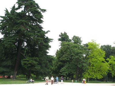 Rohelisele roheliselt, rohelisega
Palju erinevaid rohelisetoone saab puudel hes pargis olla? 
Mots-clés: Milano, parco sempione