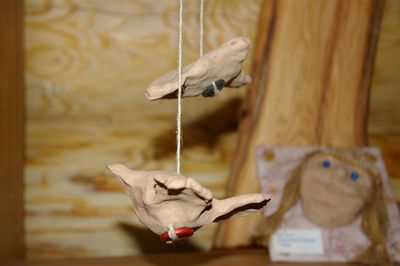 Laste linnud
Viksest kohalikust loodusmuuseumist. Koos pesakonna muude piltide ja kujukestega.. Oleks jagamisel olnd, oleks kindlasti kuhugi akna vahele lendama vtnud ;)
