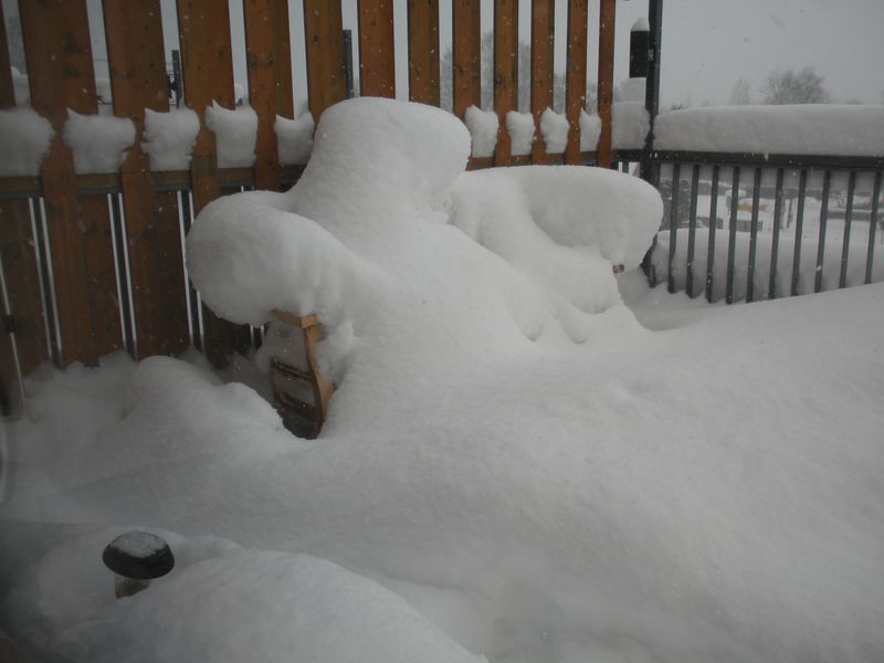 Kuju aiaveerel
Kuidas lumi sohva okupeeris :)
Avainsanat: lumeterrass