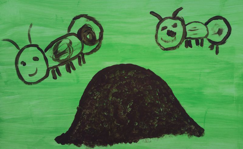 Karl oliver märkas sipelgapesa Järve metsas
Tondi põhikooli Tuisu osakond
